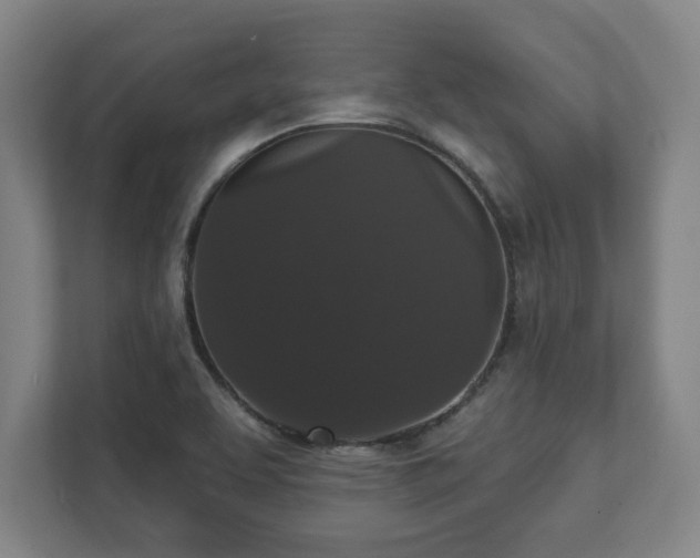 X0000111581463200907231225