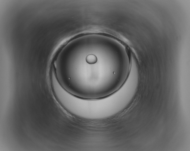 X0000111581464200907231225