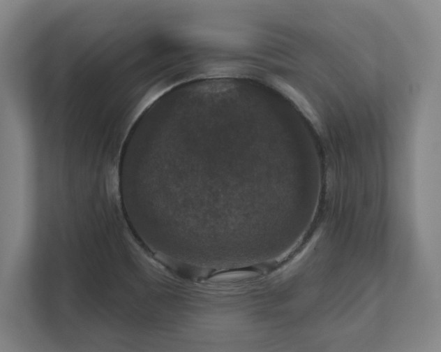 X0000111581465200907231225