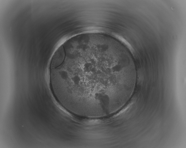 X0000111581467200907231225