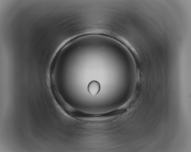 X0000111581468200907231225