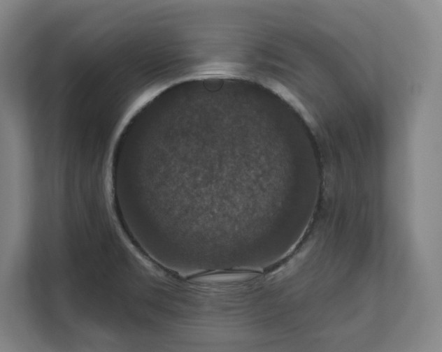 X0000111581469200907231225