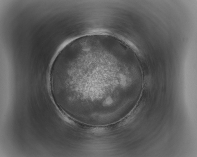 X0000111581470200907231225