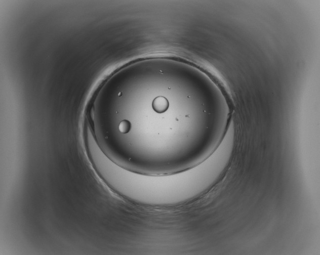 X0000111581472200907231225