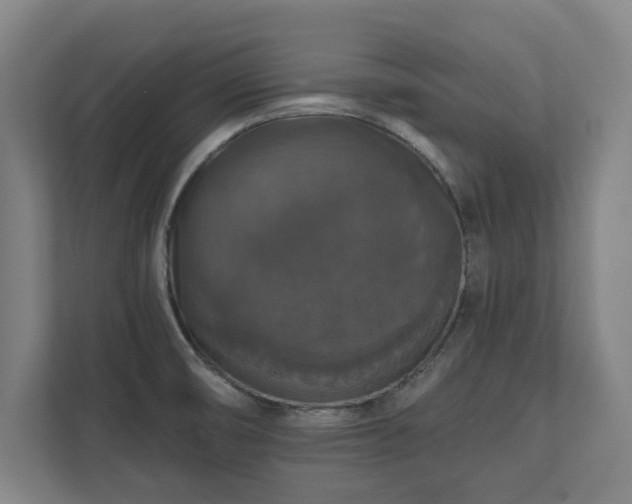 X0000111581474200907231225