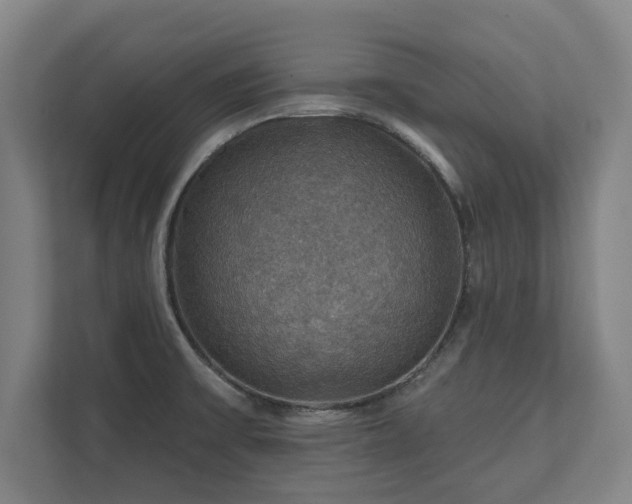 X0000111581475200907231225