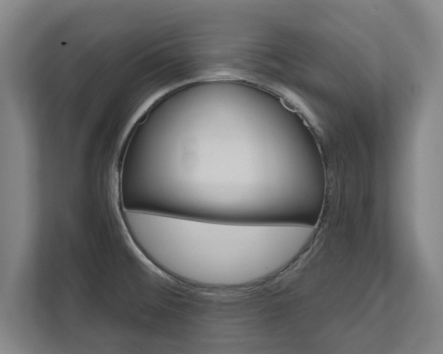 X0000111581476200907231225