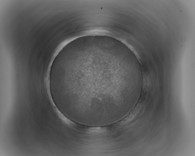 X0000111581478200907231225
