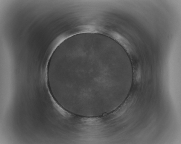 X0000111581479200907231225