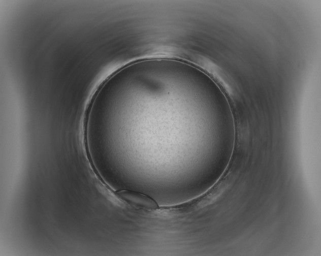 X0000111581480200907231225