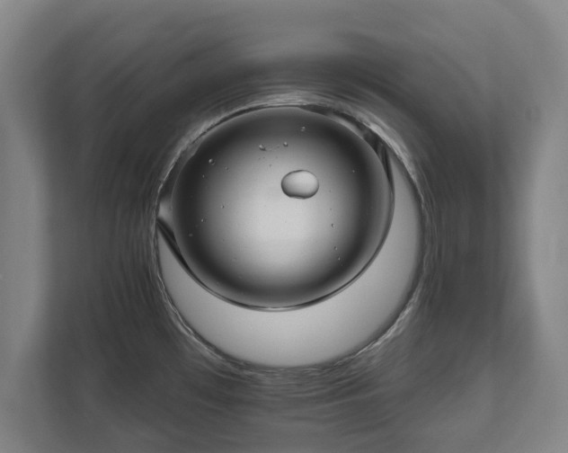 X0000111581481200907231225