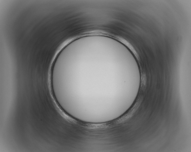 X0000111581482200907231225
