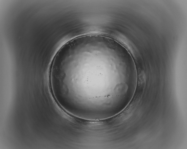 X0000111581483200907231225
