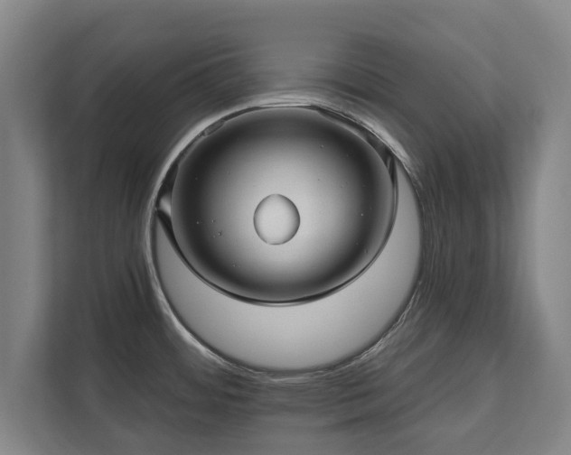 X0000111581484200907231225