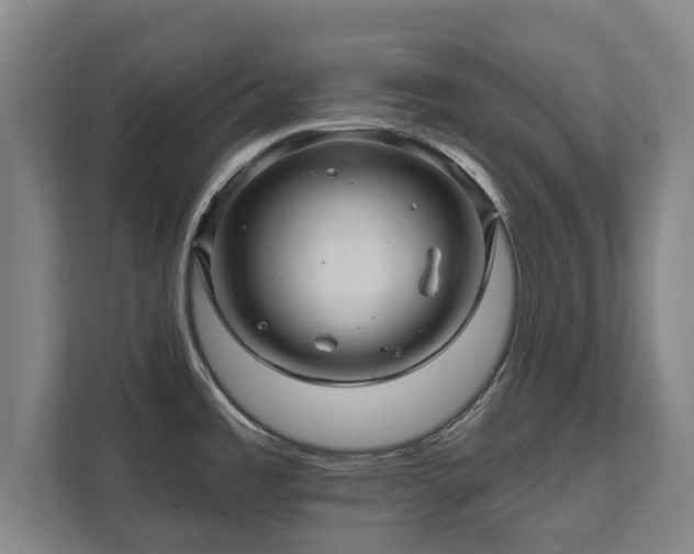 X0000111581485200907231225