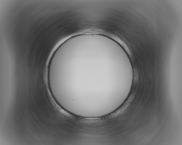 X0000111581486200907231225