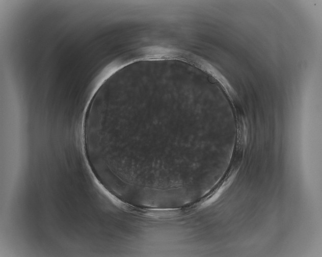 X0000111581487200907231225