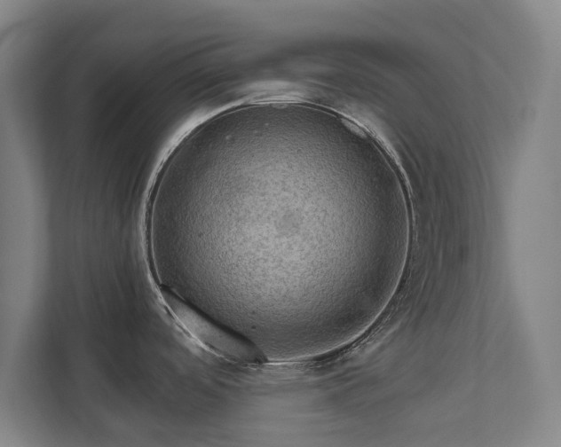 X0000111581488200907231225