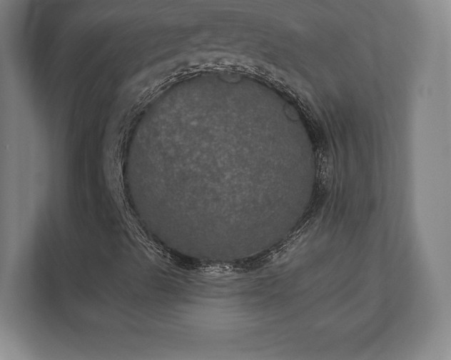 X0000111581489200907231225
