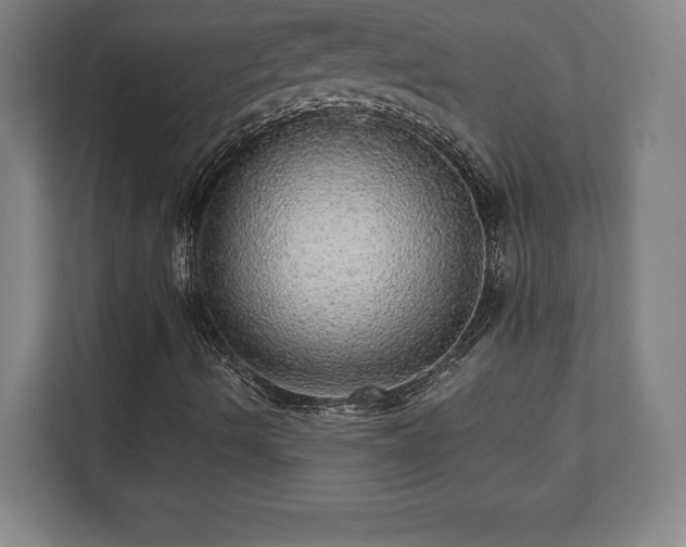 X0000111581490200907231225
