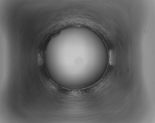 X0000111581491200907231225