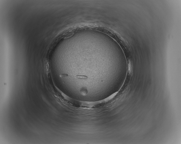 X0000111581492200907231225