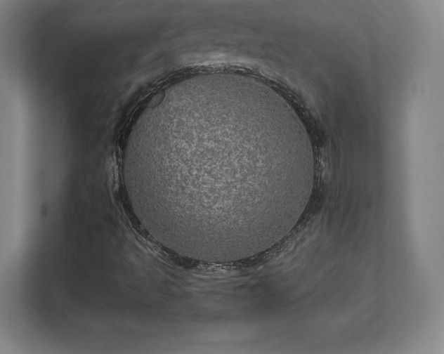 X0000111581493200907231225