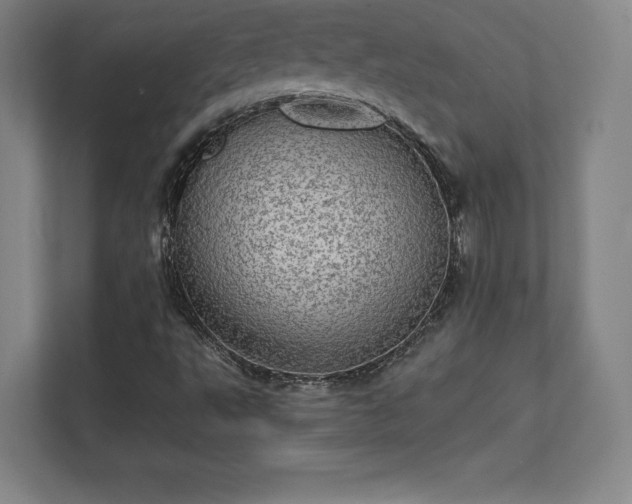 X0000111581495200907231225