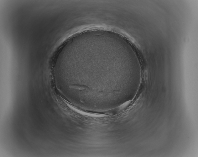 X0000111581496200907231225