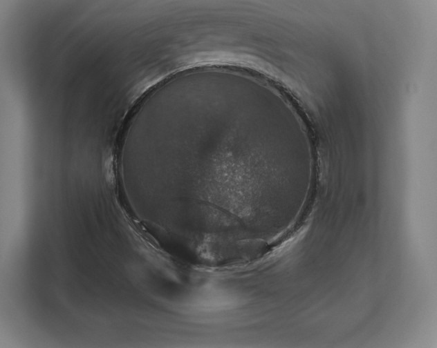 X0000111581497200907231225