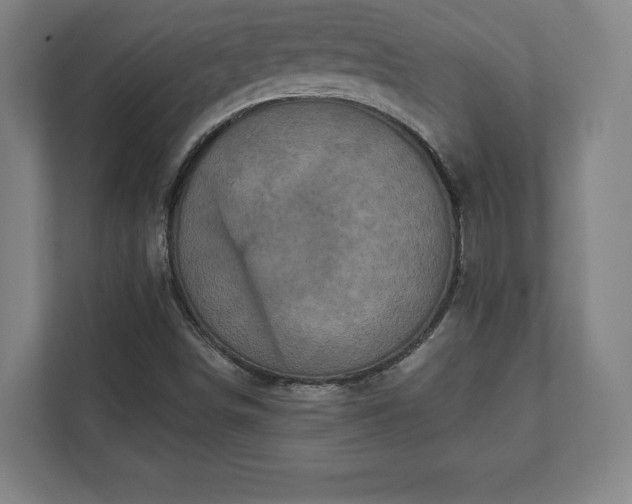 X0000111581498200907231225