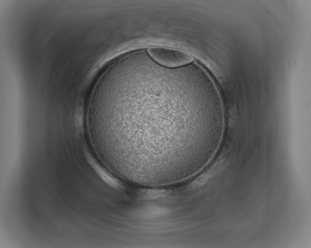 X0000111581499200907231225