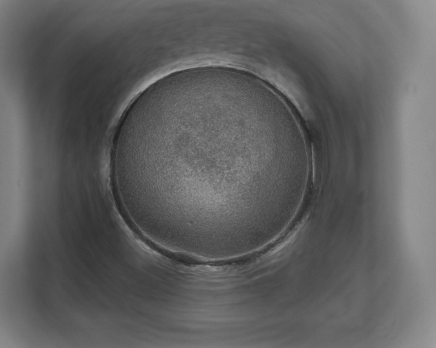 X0000111581500200907231225