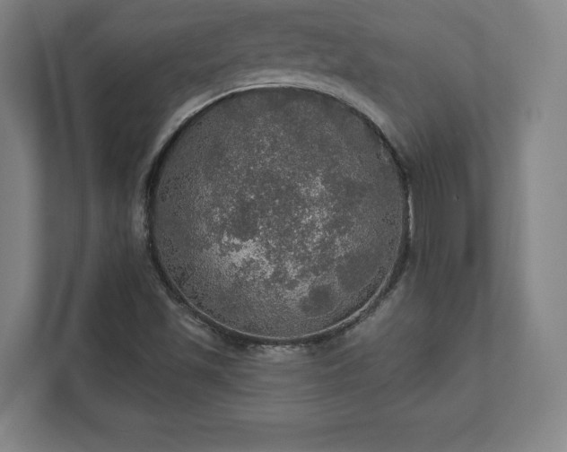 X0000111581501200907231225