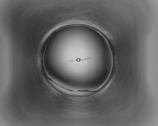 X0000111581502200907231225