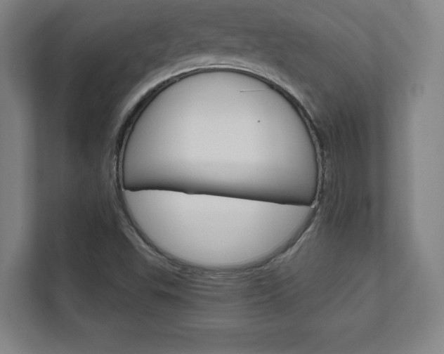 X0000111581503200907231225