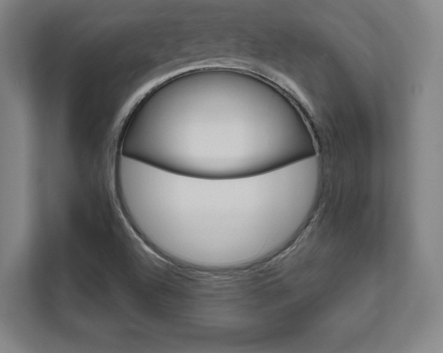 X0000111581504200907231225