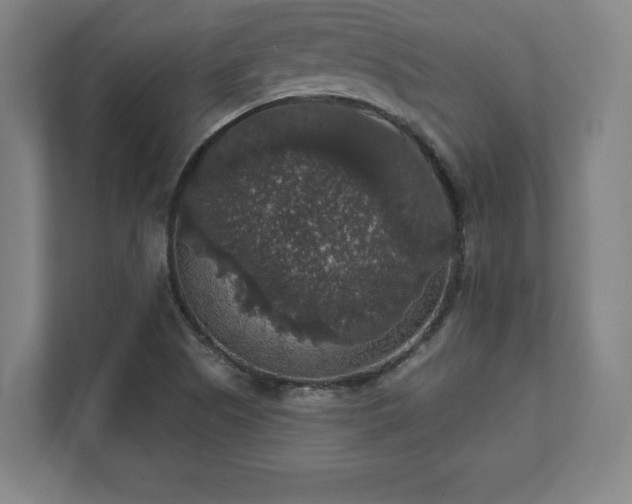 X0000111581505200907231225