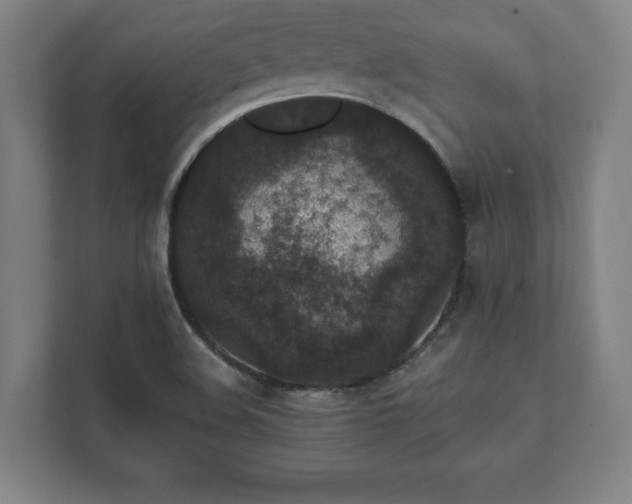 X0000111581508200907231225