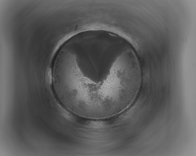 X0000111581509200907231225