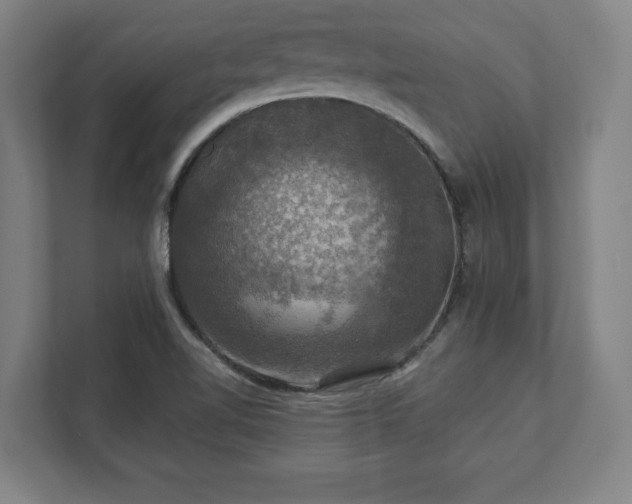 X0000111581510200907231225
