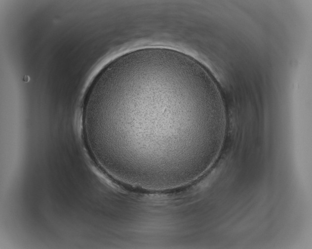 X0000111581511200907231225