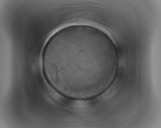 X0000111581514200907231225