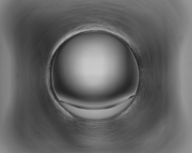 X0000111581518200907231225