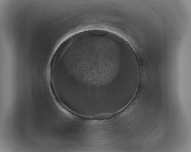 X0000111581519200907231225