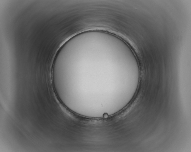 X0000111581521200907231225