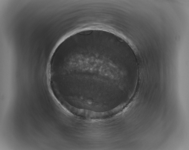 X0000111581522200907231225