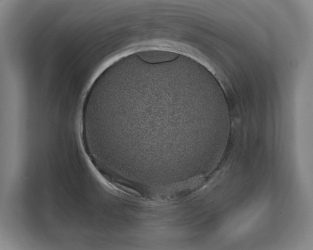 X0000111581523200907231225