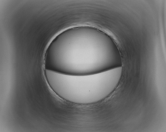 X0000111581524200907231225