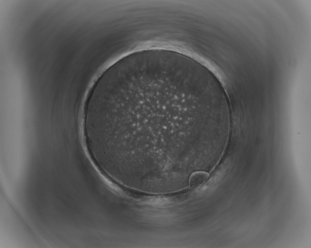 X0000111581525200907231225